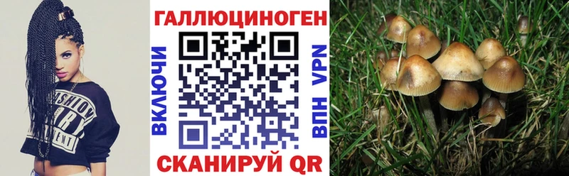 Купить где  Кулебаки  Псилоцибиновые грибы мухоморы 